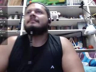 alfaalgo