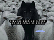 Pabloxxx82