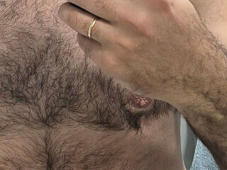 bear33