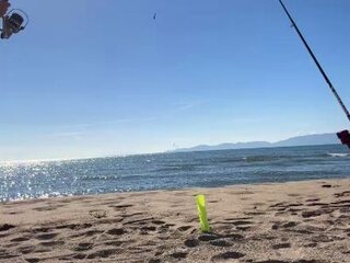 babiscam