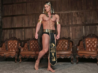Steeve Muscle